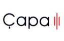 apa