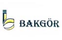 bakgr1